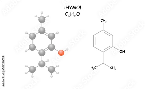 Stylized molecule model/structural formula of thymol. Use as aroma and disinfectant.