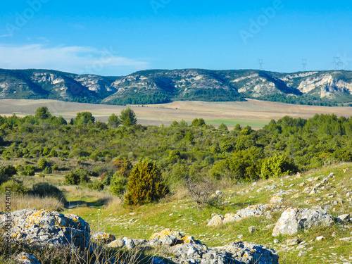 Fotografija Magnificent landscape of the Alpilles in Provence in France with the plateau of