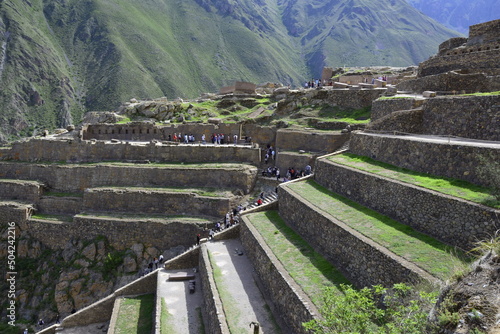 Stone terraces with seedlings in Inca ruins of Ollantaytambo, Peru. Ancient building in Sacred Valley in Peruvian Andes