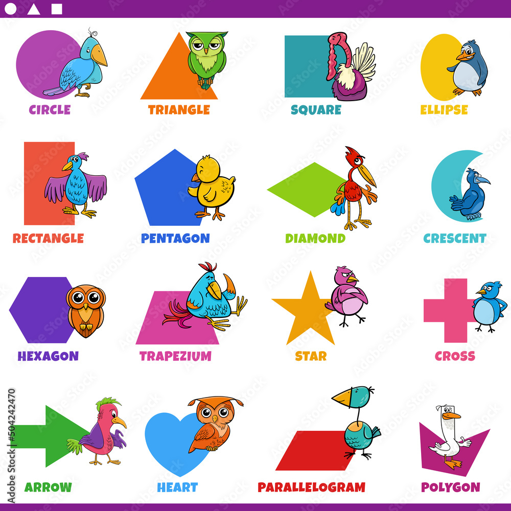 basic geometric shapes with cartoon birds characters set
