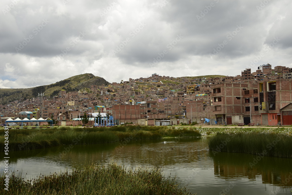 Fototapeta premium Green tall grass on the shore of Lake Titicaca. Puno, Peru