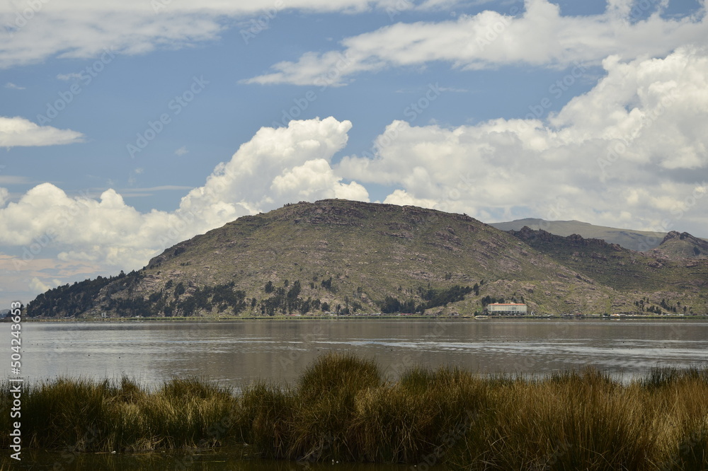 Green tall grass on the shore of Lake Titicaca. Puno, Peru