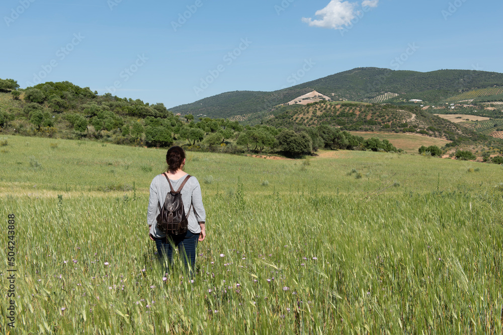 Mujer de espaldas, con mochila, caminando por un campo de trigo Mujer de espaldas, con mochila, caminando por un campo de trigo