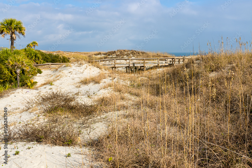 Boardwalk Over Sand Dunes  on North Beach, Tybee Island, Georgia, USA