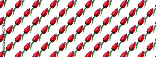 tulip print for printing