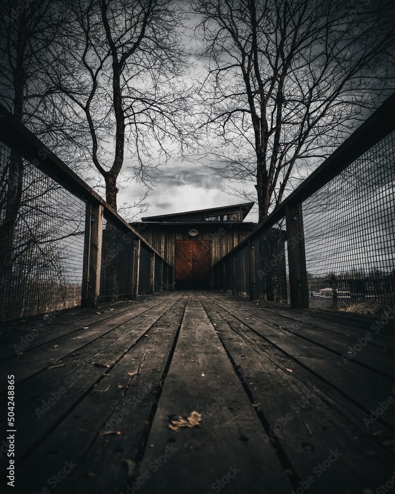 Low angle view of wooden bridge leading to mystery door. Dramatic cine like edit. Low angle view of wooden bridge leading to mystery door. Dramatic cine like edit.