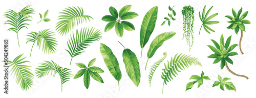 Obraz na plátně Tropical leaves collection