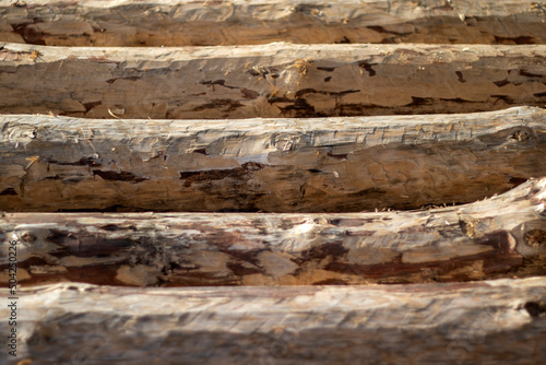 Logs are cleared of bark. Perspective view of peeled logs. Logs lie horizontally on the ground in one row, side view.
