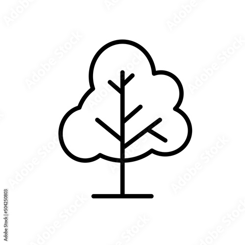 drzewo ikona photo
