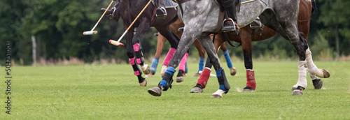 Close-up of horses' feet and a mallet for hitting the ball in a championship equestrian polo game. Green lawn. Banner size