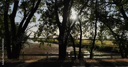 Drying by a slough in the delta region of California in slow motion