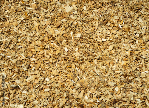 Wood chips texture, wooden biomass background. shavings for smoking or recycle