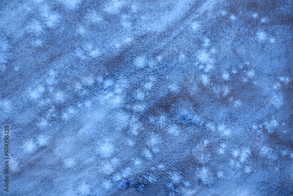 Obraz premium Abstrakter blauer Hintergrund mit Wasserfarben / Aquarellfarben