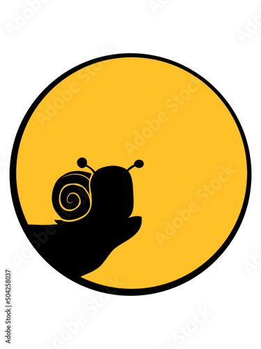 Klippe Mond Schnecke 
