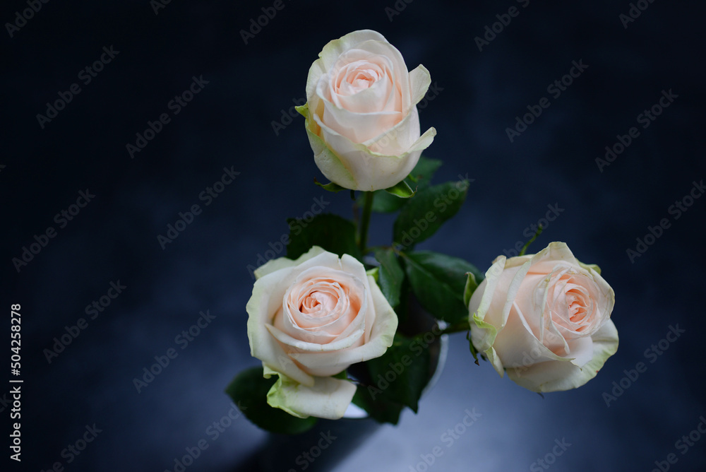 Obraz premium Roses dans un vase