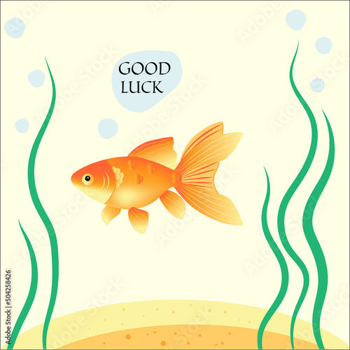 Golden fish for good luck and execution of desire with algae in aquarium. Vector illustration