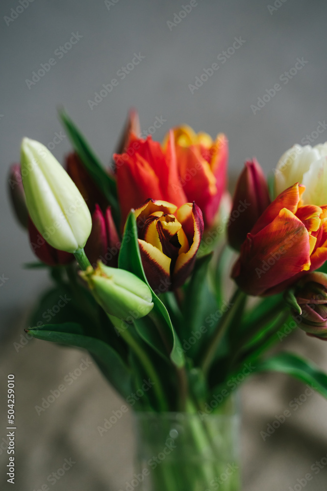 Fototapeta premium Bouquet of beautiful different varieties of tulips. Beautiful flowers in a vase. Spring bouquet. Bouquet for birthday, Mother's Day, International Women's Day, Valentine's Day. Vertical photo.