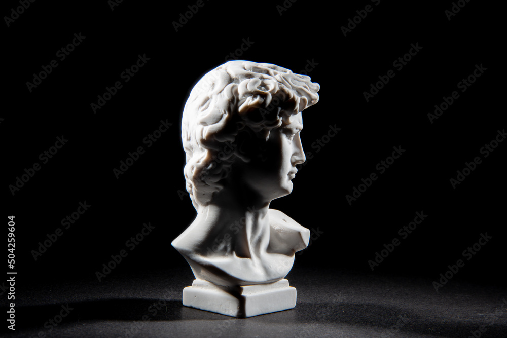 Fototapeta premium male statue bust david michelangelo