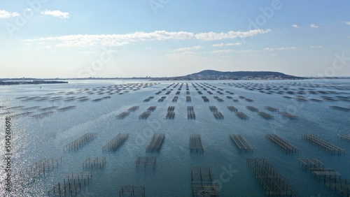 Foto survol des parcs à huitres à Sète au dessus du bassin de Thau en Occitanie