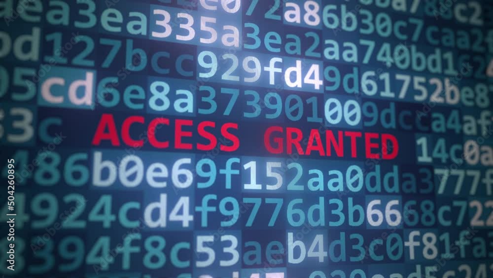 ACCESS GRANTED text and program code on the computer screen ACCESS GRANTED text and program code on the computer screen