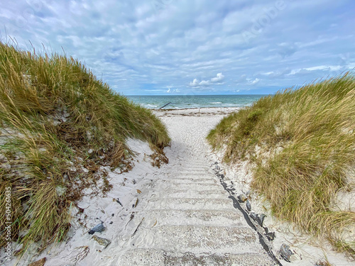 Fototapeta Naklejka Na Ścianę i Meble -  Hiddensee Beach Life during Summer time at Rügen