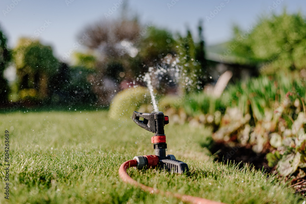 Nawadnianie trawnika. Automatyczny system zraszania nawadniania trawnik z bliska. - obrazy, fototapety, plakaty 