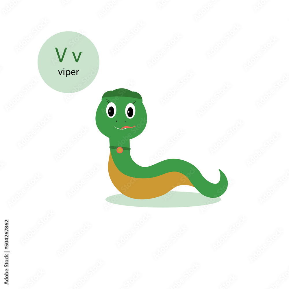 small green viper .animal vector illustration small green viper .animal vector illustration