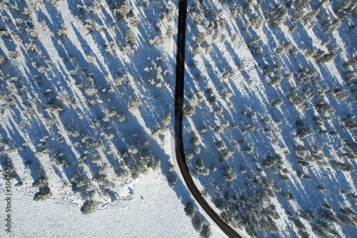 Snowy Road