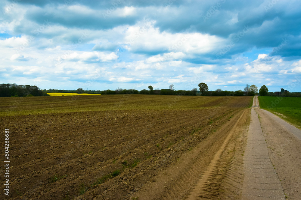 Landwirtschaftliche Fläche in Schleswig-Holstein Landwirtschaftliche Fläche in Schleswig-Holstein