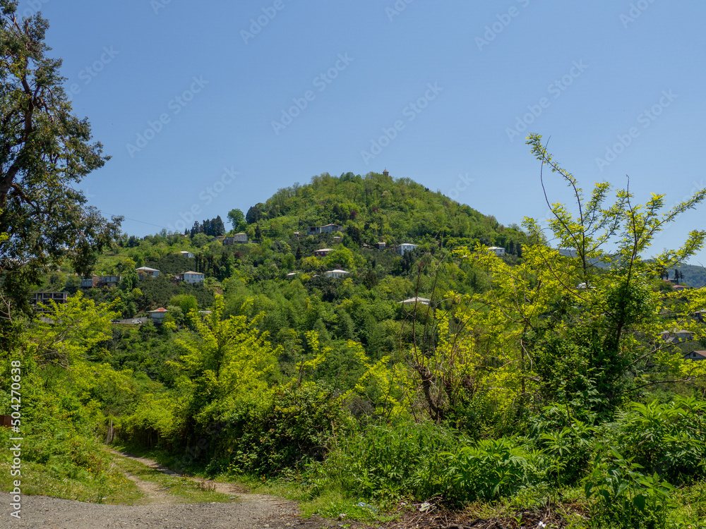 Houses on a green hill. City in nature. Beautiful landscape. Outskirts of the southern city.  houses in the dense forest on the mountain