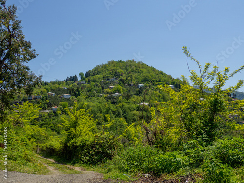 Houses on a green hill. City in nature. Beautiful landscape. Outskirts of the southern city. houses in the dense forest on the mountain