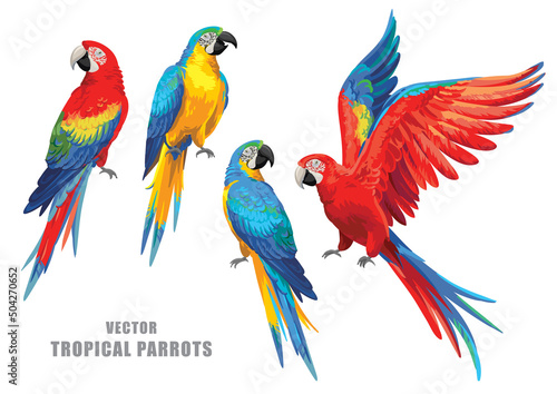 Obraz na plátně Tropical parrots collection