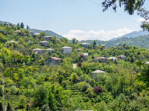 Houses on a green hill. City in nature. Beautiful landscape. Outskirts of the southern city. houses in the dense forest on the mountain