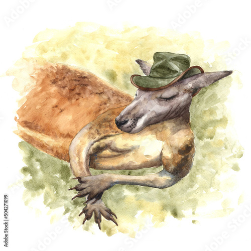 Watercolor drawing lying kangaroo in the australian hat, akubra