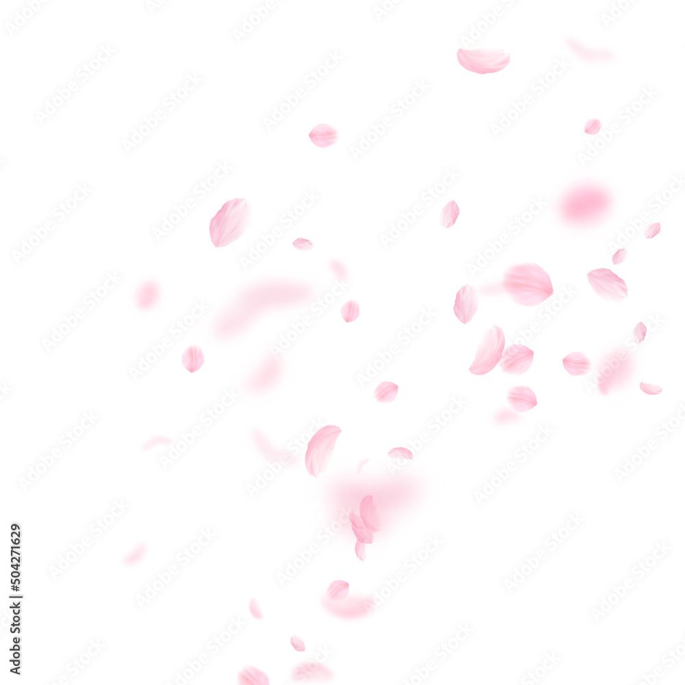 Sakura petals falling down. Romantic pink flowers corner. Flying petals on white square background. Love, romance concept. Adorable wedding invitation.