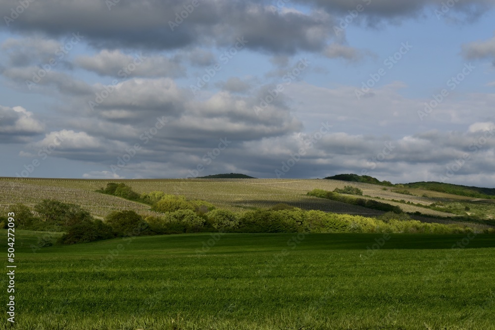 Obraz premium Dense clouds rise above the hills covered with greenery.Sunny day.Spring. Krasnodar region .Russia.