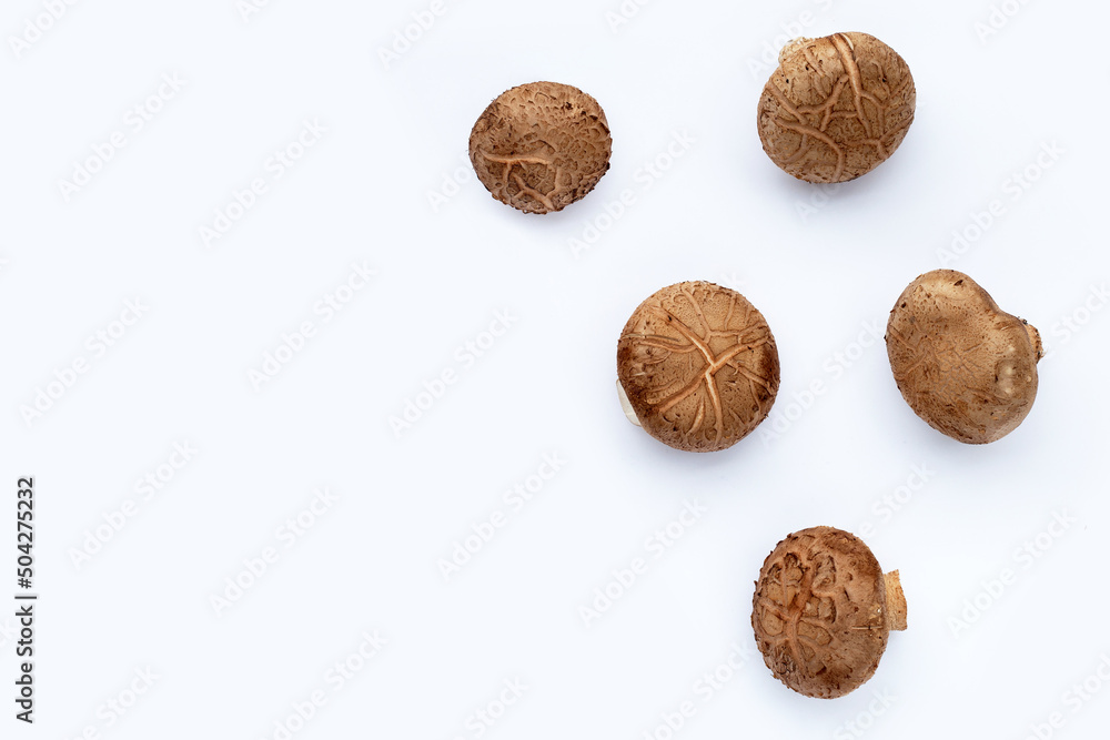 Fresh shiitake mushrooms on white Fresh shiitake mushrooms on white