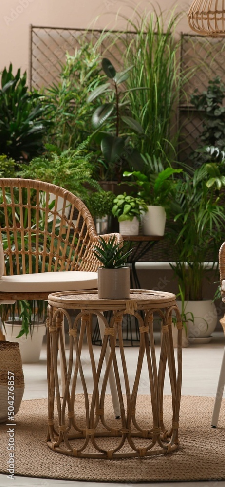 Obraz premium mesa de star rodeada de plantas, ambiente de relajacion y tranquilidad