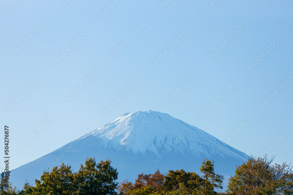 Obraz premium 富士山