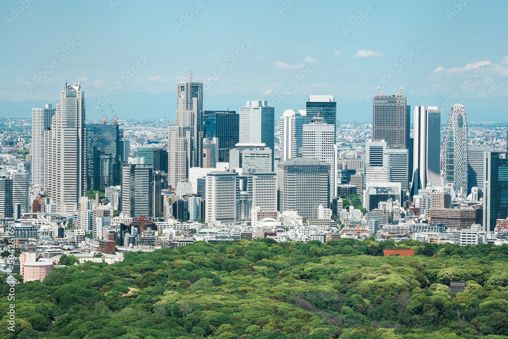 Fototapeta premium 新宿の高層ビル