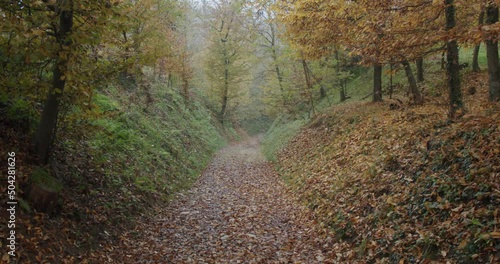 Wallpaper Mural A mysterious road leads to an unknown place during the autumn Torontodigital.ca