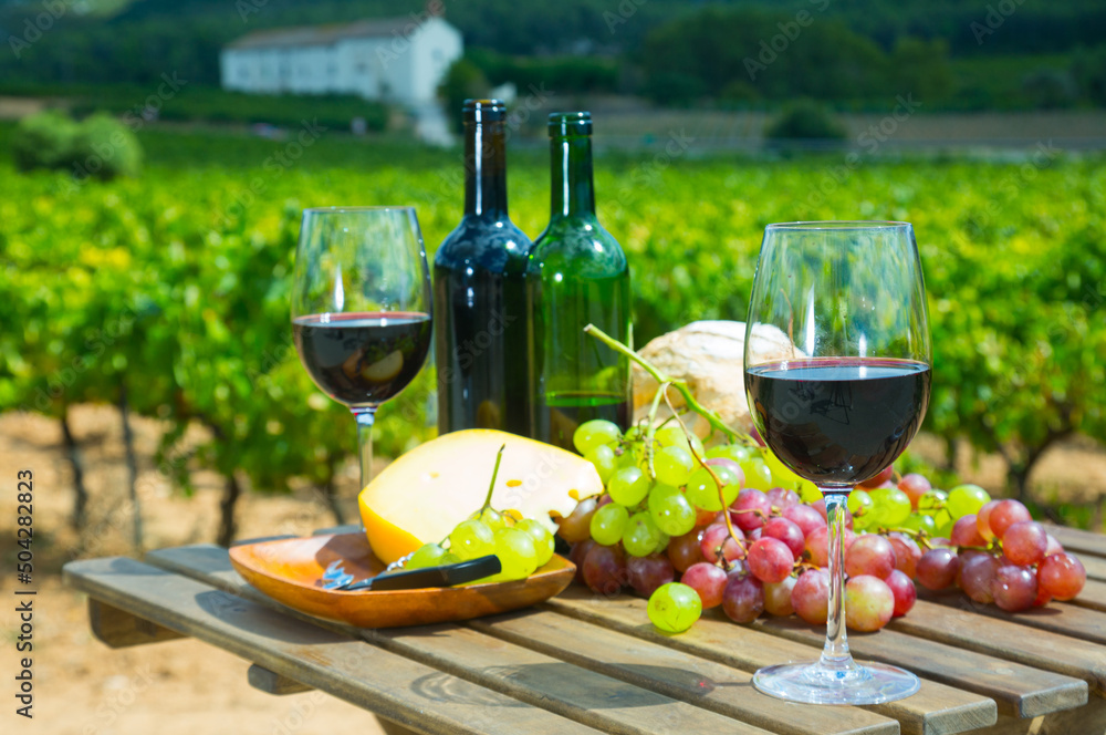 Glasses and bottles of red wine, cheese, bread and grapes against sunny vineyard