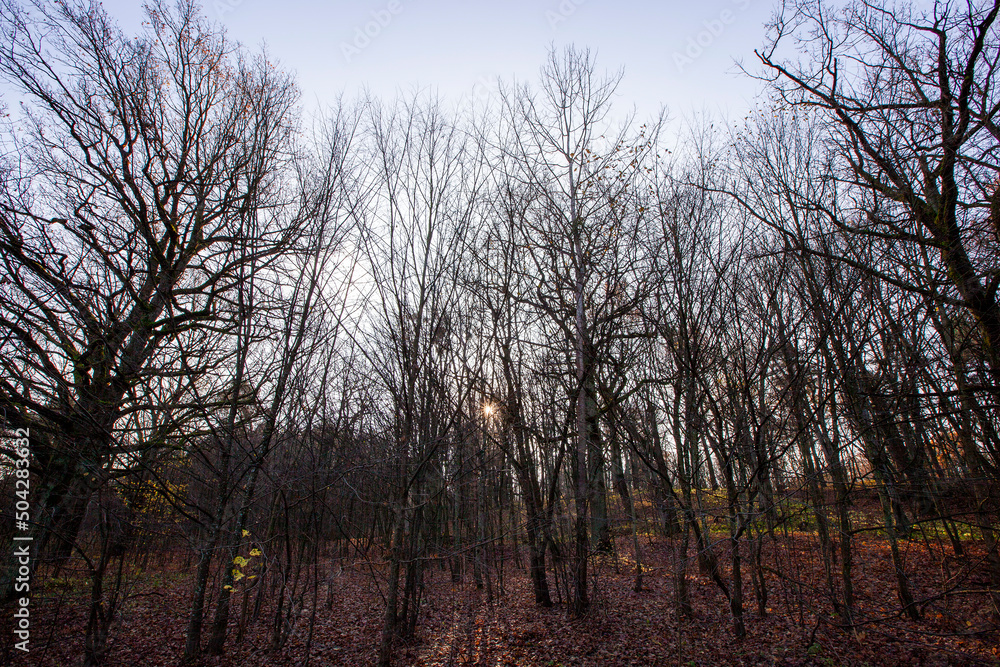 changes in nature during the autumn season