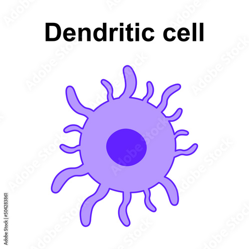 Scientific Designing of Dendritic Cell. The White Blood Cell Structure. Colorful Symbols. Vector Illustration. photo