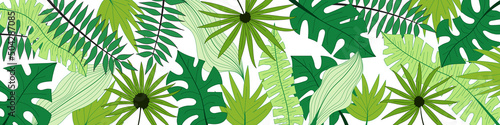 Vector banner of tropical leaves, floral background