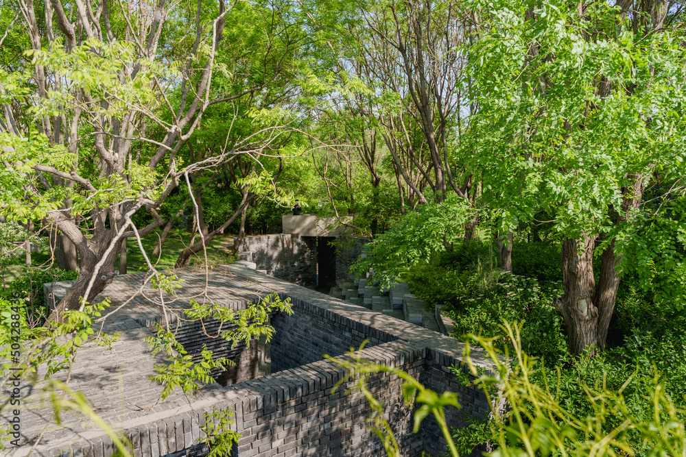 Fototapeta premium Green garden holiday tranquility