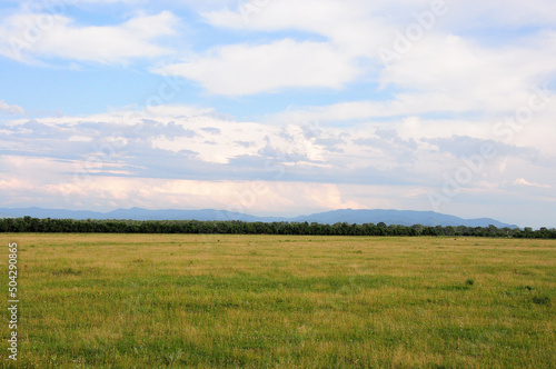 Endless flat steppe under a cloudy summer sky and the outskirts of the forest at the foot of high hills.
