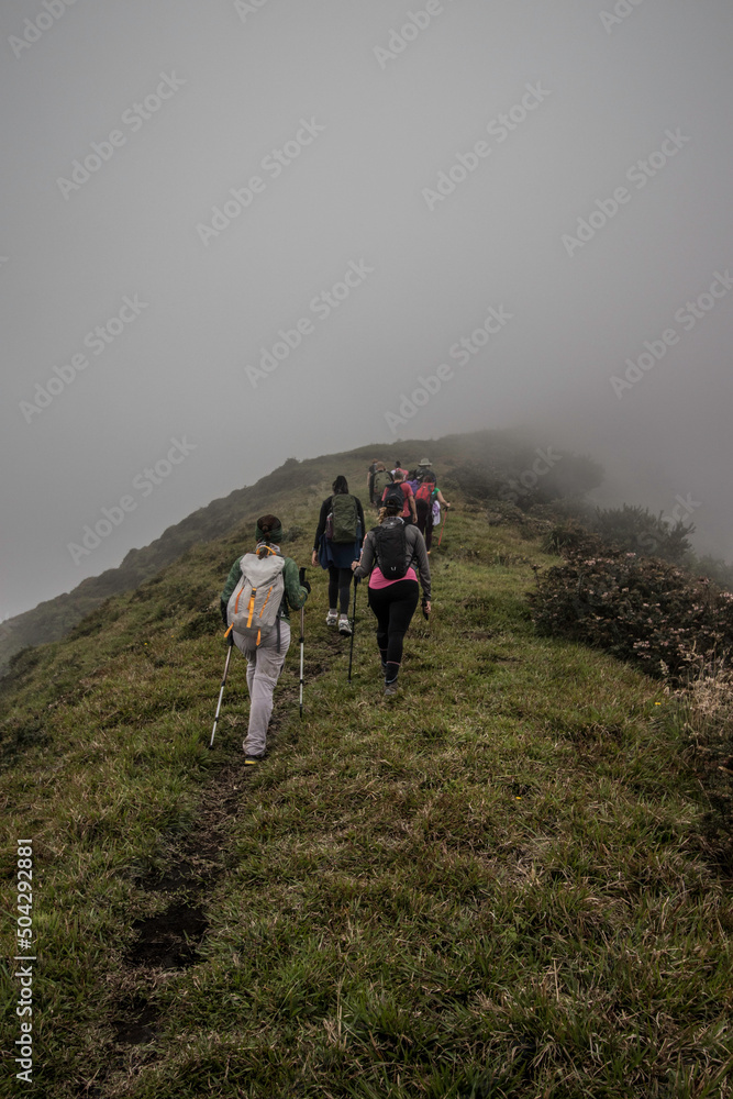 vertical shot of group of hikers tropical cloud forest in the green mountains of Costa Rica