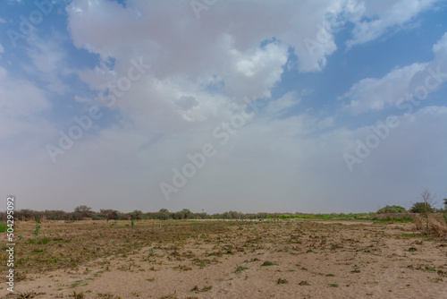 Arabian Landscape