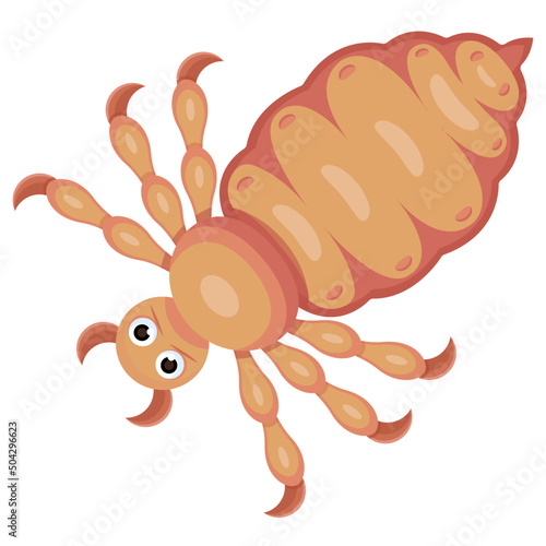 isolated louse flat vector illustration photo